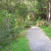 New-Zealand-2007-797.JPG