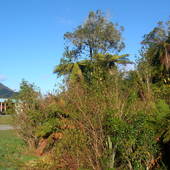 New-Zealand-2007-674.JPG