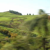 New-Zealand-2007-992.JPG