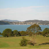 New-Zealand-2007-1000.JPG