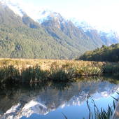 New-Zealand-2007-514.JPG