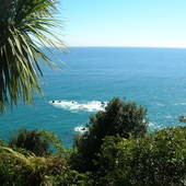 New-Zealand-2007-617.JPG